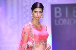 Asian Wedding Photography and Videography 